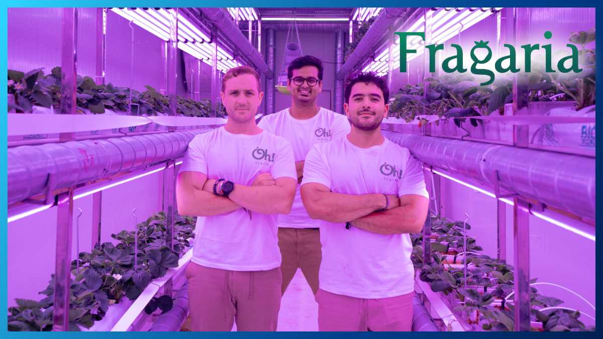 Fragaria Fruits raises $2 million in seed funding led by WEH Ventures