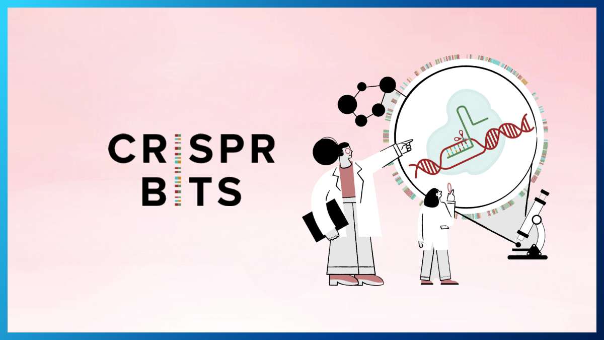 CrisprBits raises $3 million in pre-Series A funding led by Spectrum Impact